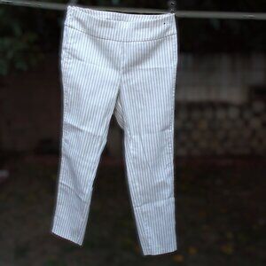 7th Avenue Design Studio Cream Tan Stripped Pull-On Pants L